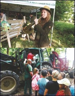 LESY M�STA KLATOV, s.r.o.